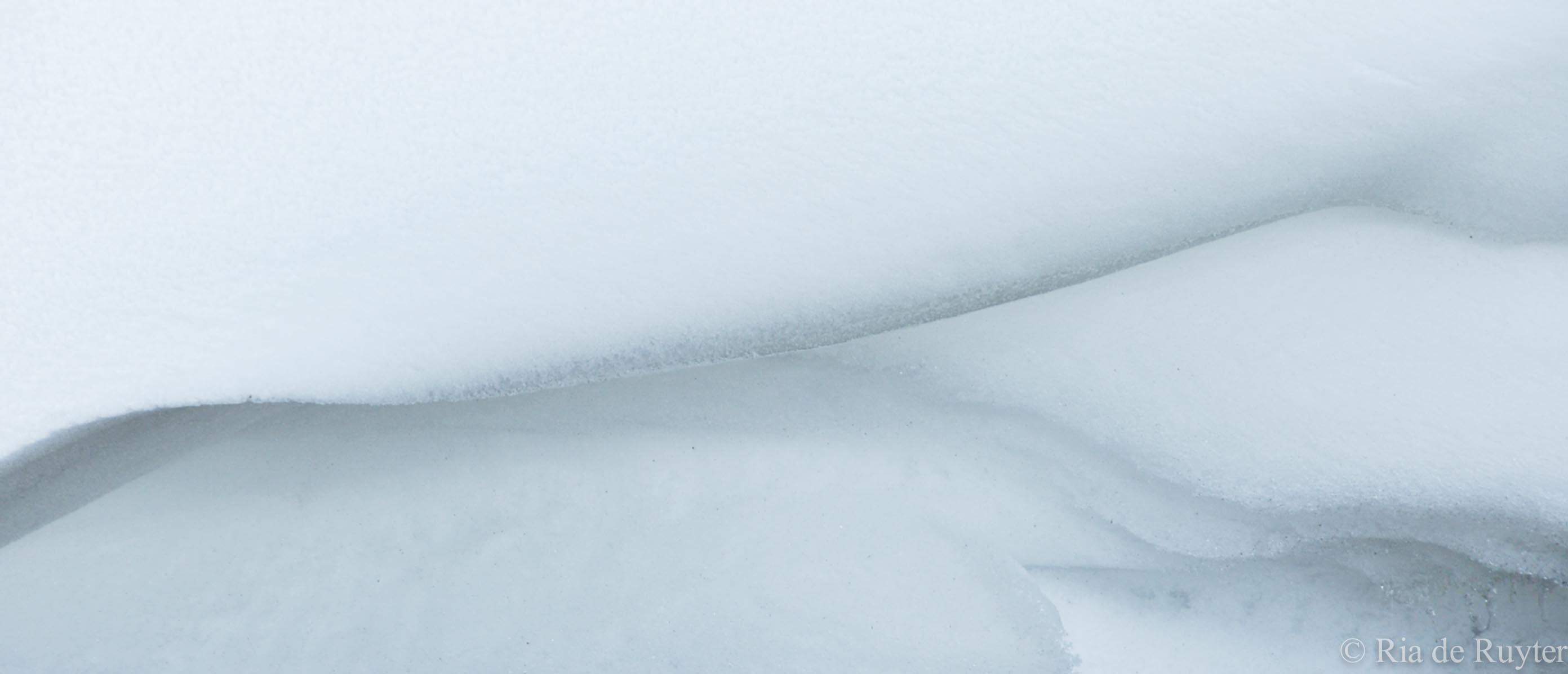 sneeuw-0220.jpg
