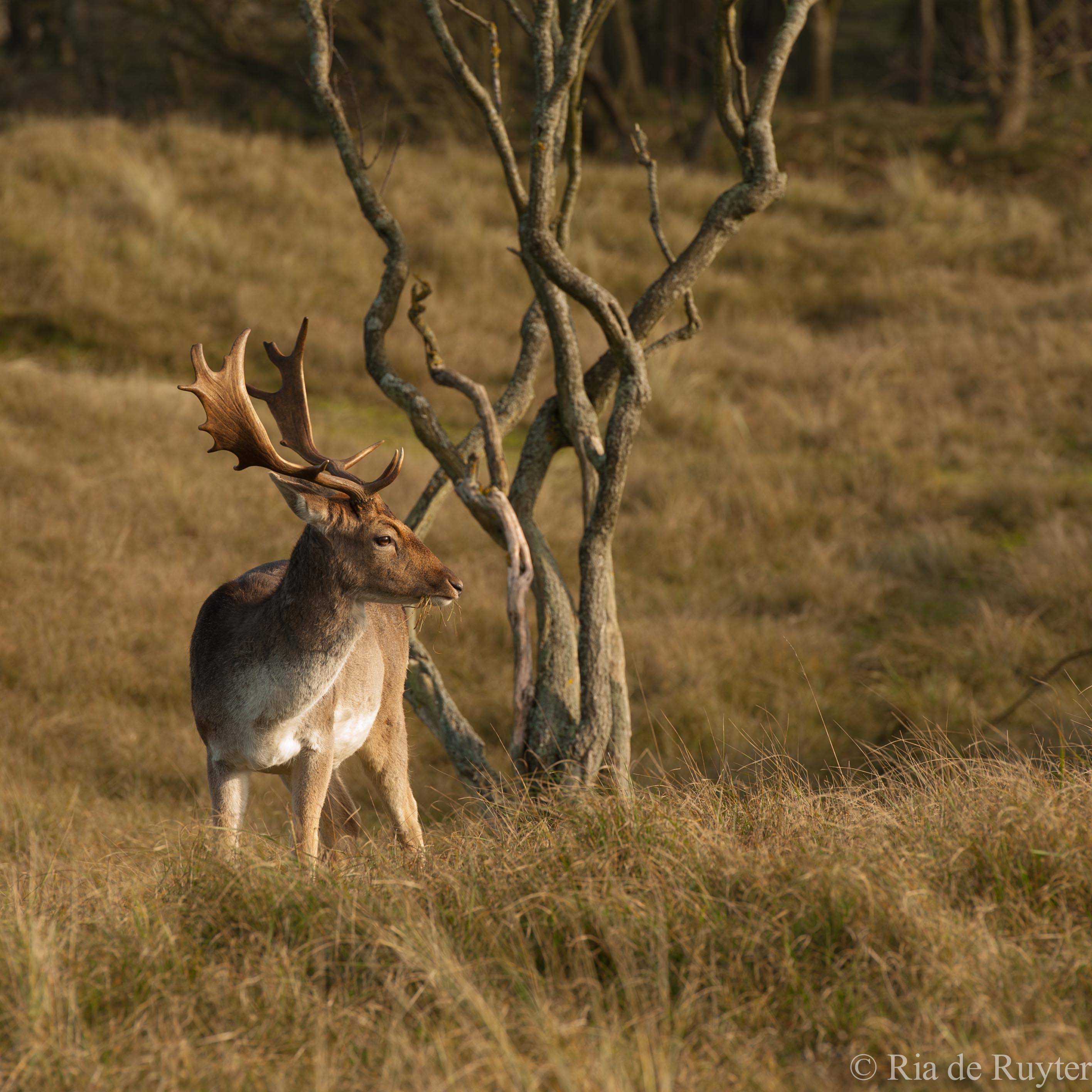 AWD-8870.jpg