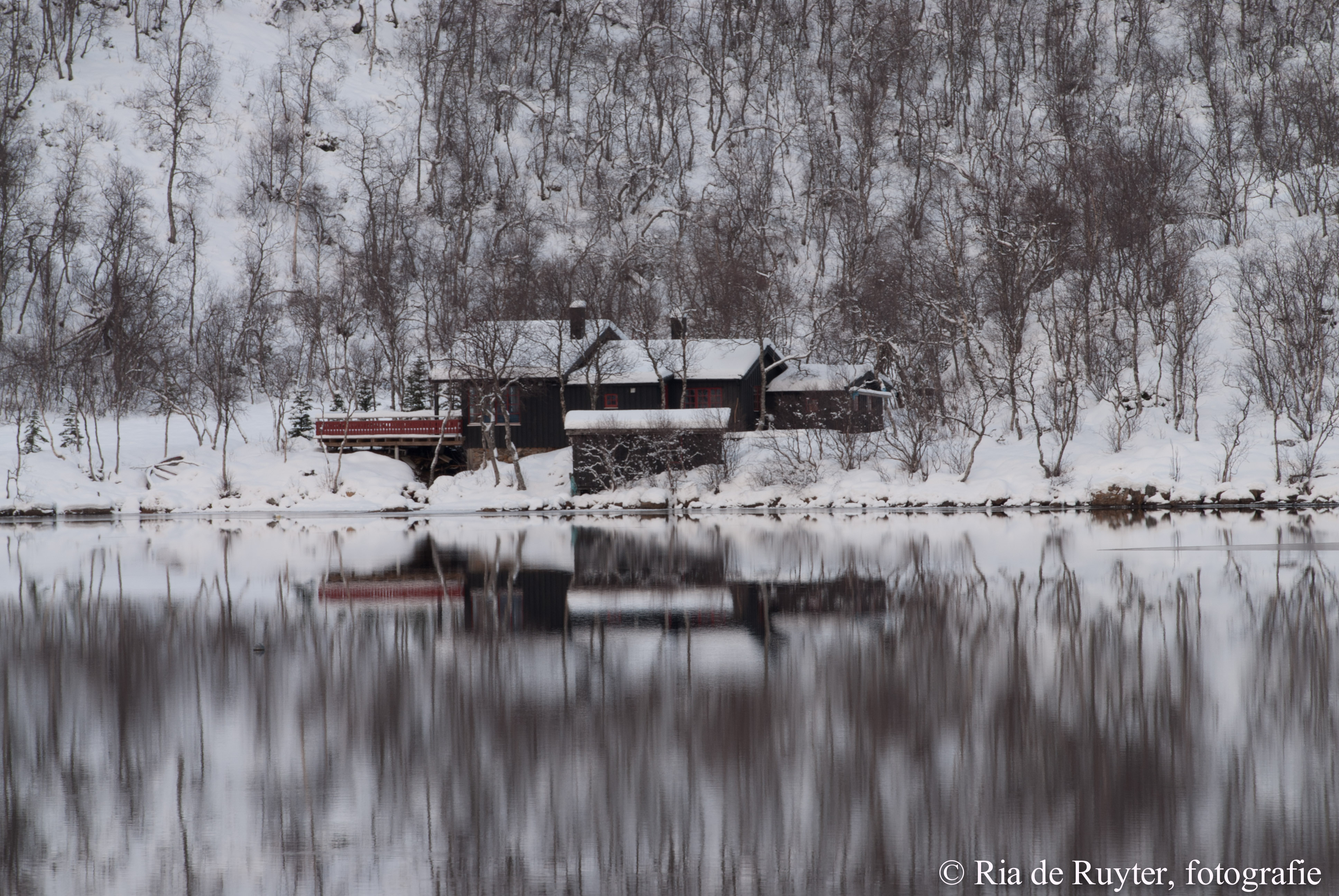noorwegen-4278.jpg