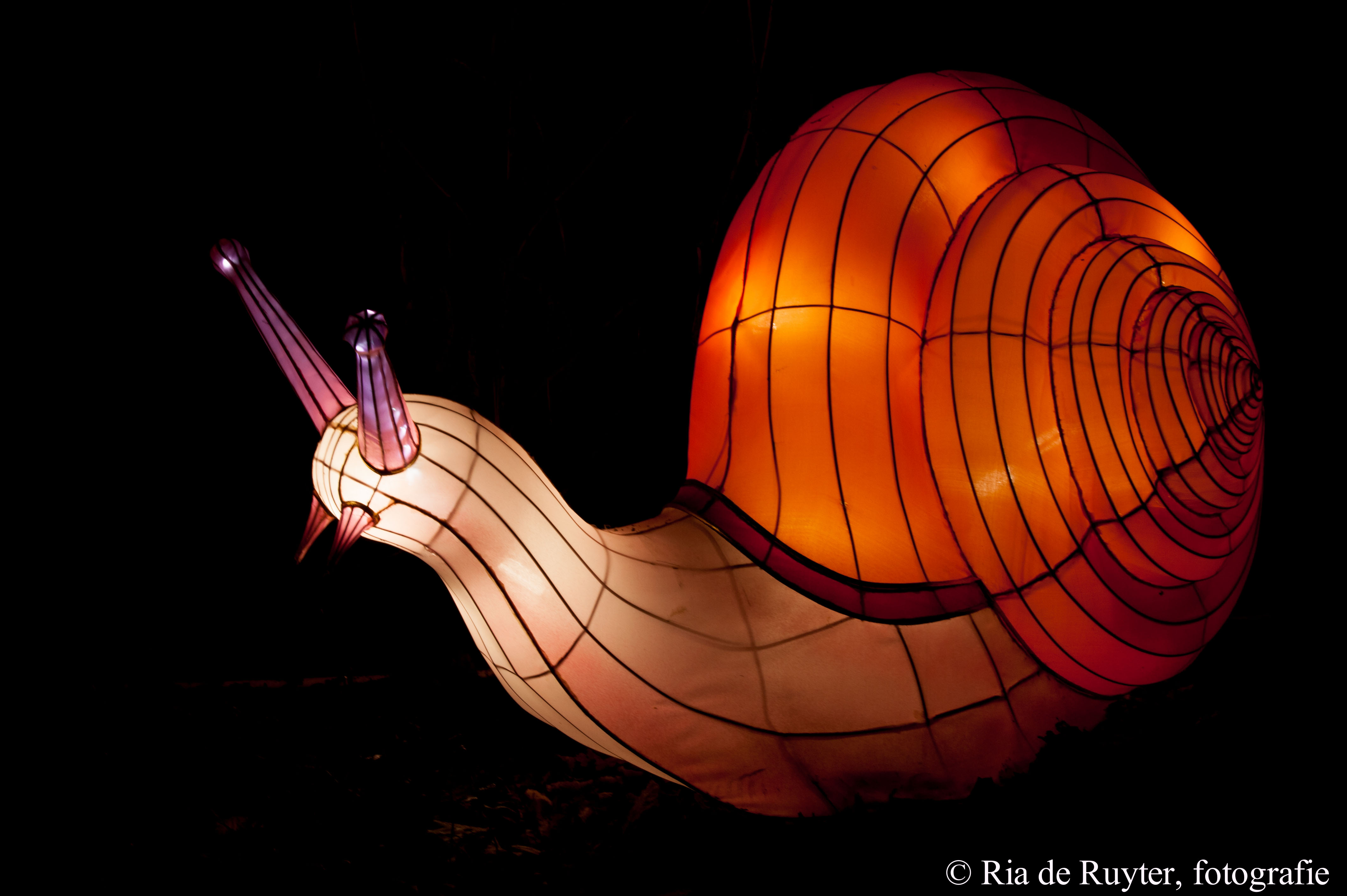 chinalight-9070.jpg